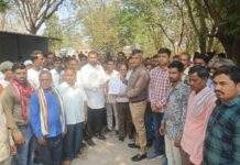 हत्तीचा तात्काळ बंदोबस्त करुण आणि हत्तीने नुकसान